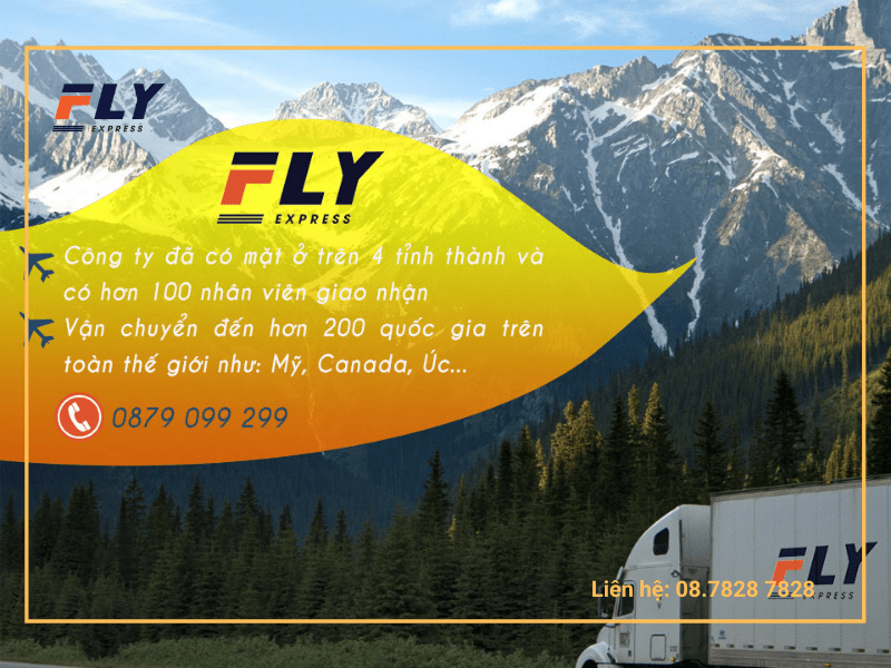 Dịch vụ gửi thuốc nam tới Mỹ chuyên nghiệp bởi đội ngũ chuyên nghiệp của Fly Express